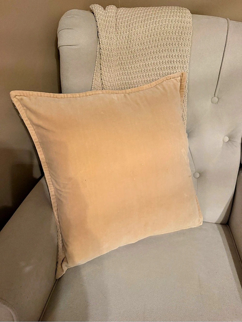 Pottery Barn Velvet Pillow Cover with Pottery Barn down insert.